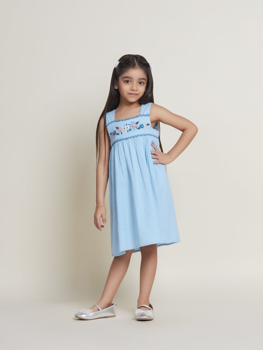 Buy Fabi Sleeveless Flower Embroidered Cotton Girls Dress Light Blue  Online The Tribe Kids