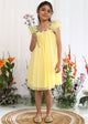 Neha Net Embroidered Floral Motifs Girls Dress - Yellow Dress The Tribe Kids 2-3Y Yellow