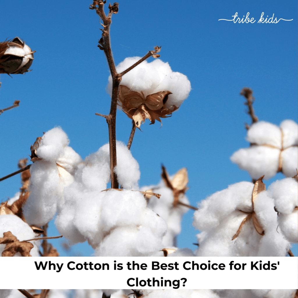 Why Cotton is the Best Choice for Kids' Clothing? - The Tribe Kids