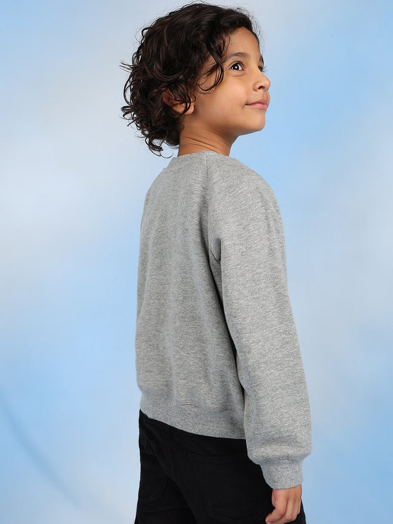 Alan Boys Cotton Solid Round Neck Casual Sweatshirt - Grey Sweatshirt The Tribe Kids   