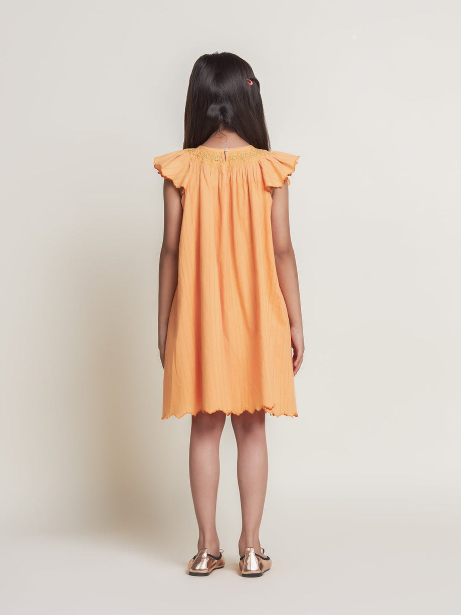 Buy Fefi Flutter Sleeveless Embroided Cotton Girls Dress - Peach