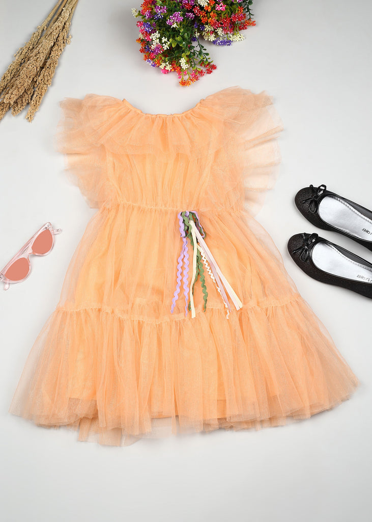 Meher Girls Fit & Flare Net Dress With Puff Sleeves - Peach Dress The Tribe Kids   