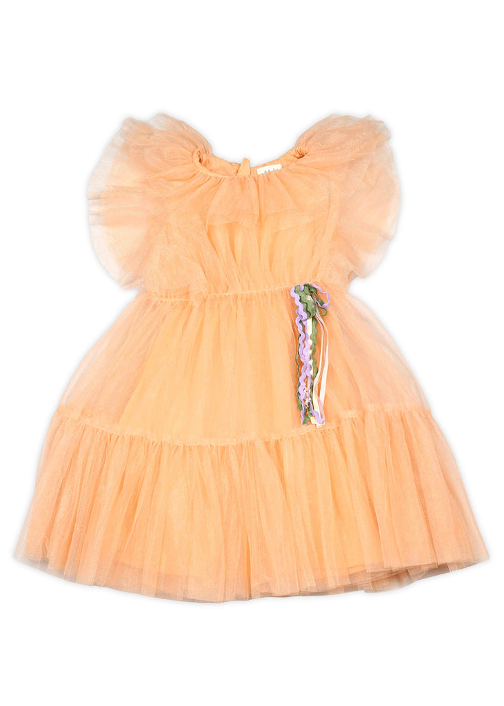 Meher Girls Fit & Flare Net Dress With Puff Sleeves - Peach Dress The Tribe Kids   