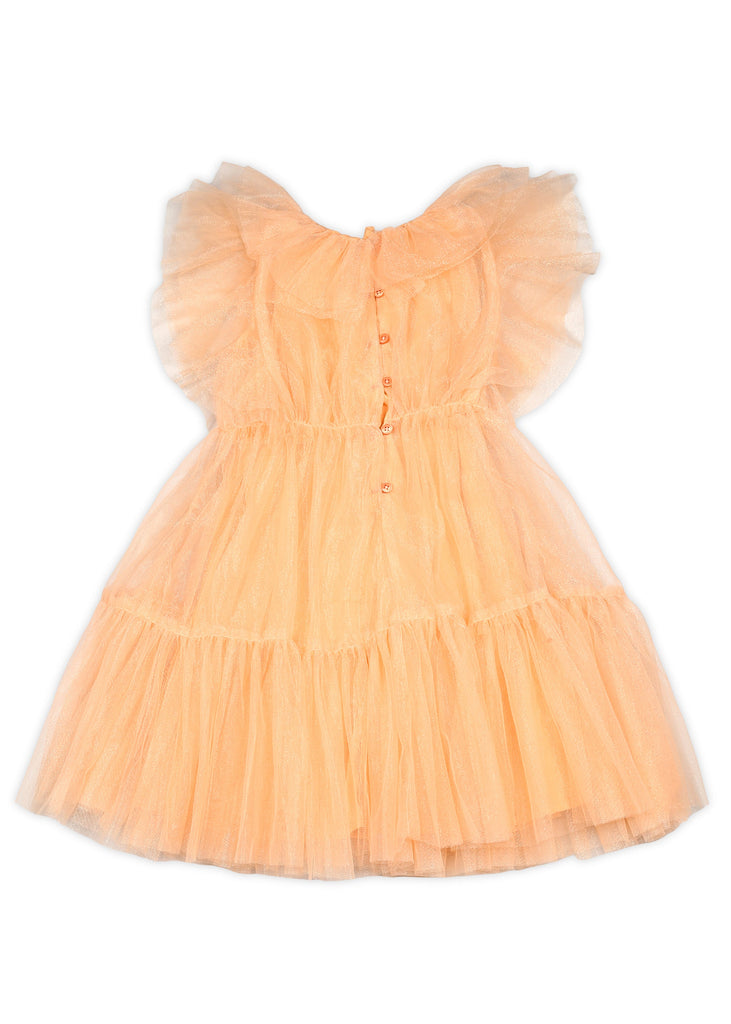 Meher Girls Fit & Flare Net Dress With Puff Sleeves - Peach Dress The Tribe Kids   