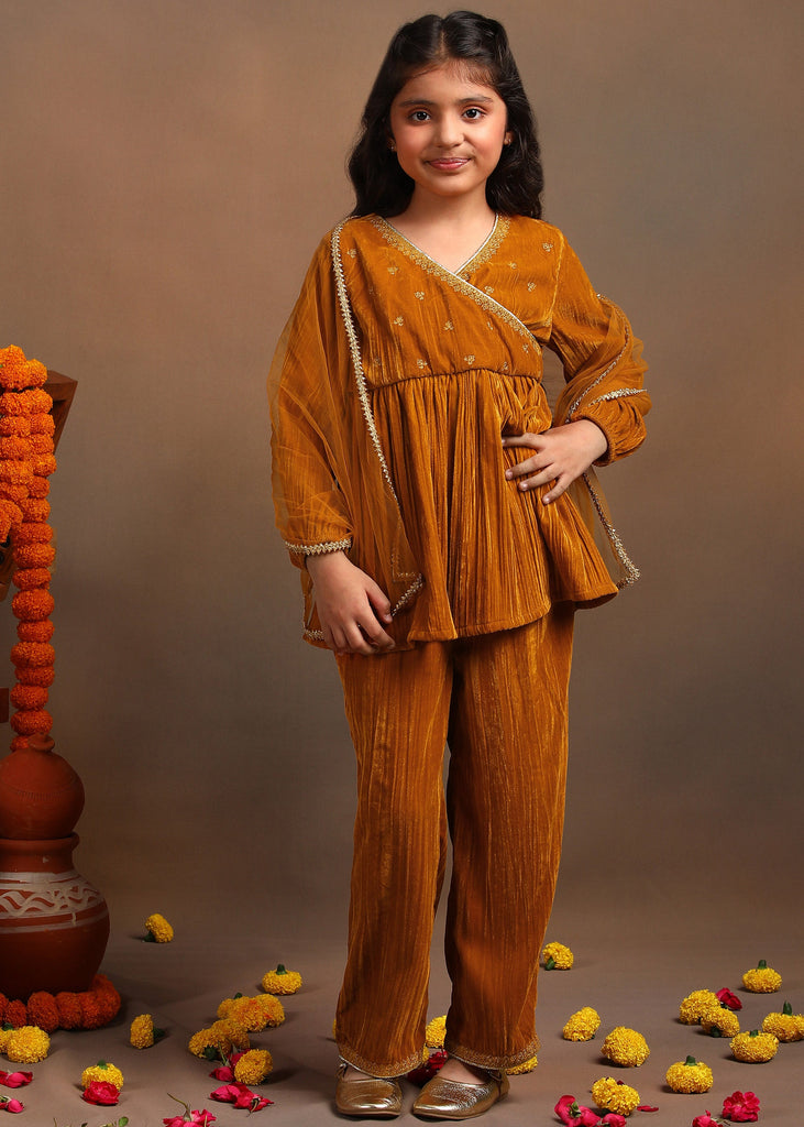 Nia Girls Embroidered Velvet Kurta and Sharara Set - Mustard Set The Tribe Kids